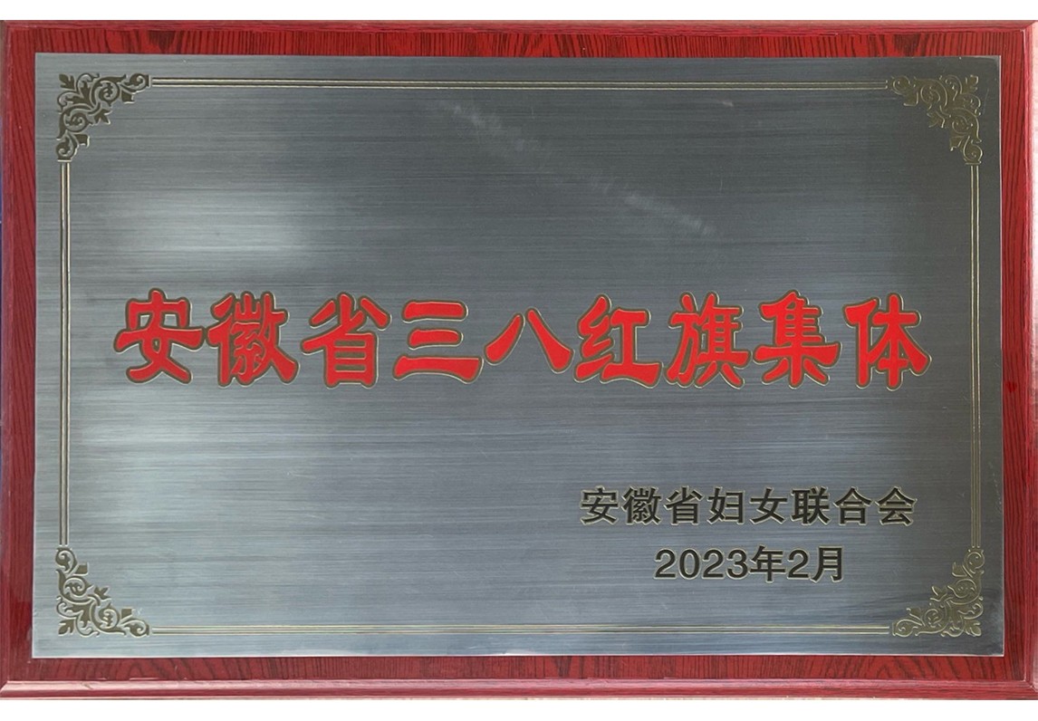 安徽省三八紅旗集體